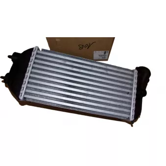 Intercooler, échangeur OE 0384P3