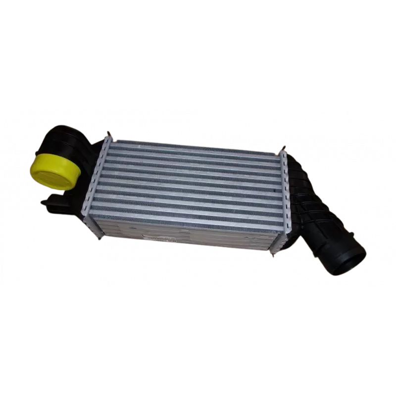 Intercooler, échangeur OE 0384P3 - Visuel 1