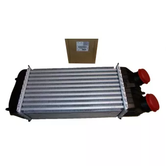 Intercooler, échangeur OE 0384N1