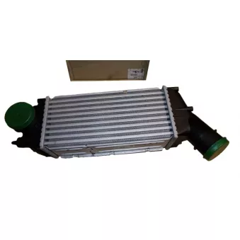 OE 0384G4 - Intercooler, échangeur