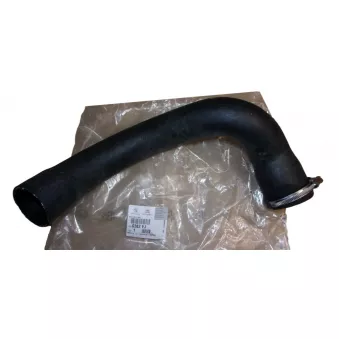 Durite de turbo OE OEM 0382EJ