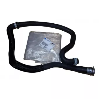 Tuyauterie de liquide de refroidissement OE 1317V5