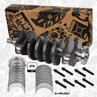 Kit de réparation, vilebrequin ET ENGINETEAM OEM 46797915