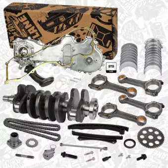 Kit de réparation, vilebrequin ET ENGINETEAM OEM 46797915