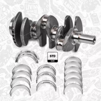 Kit de réparation, vilebrequin ET ENGINETEAM OEM CM5G6333EA