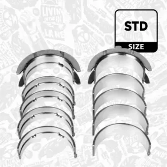 Kit de coussinet de vilebrequin ET ENGINETEAM OEM 2102027905