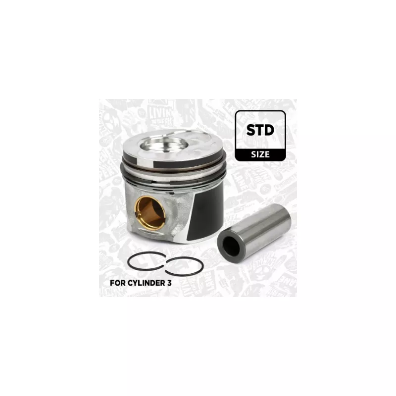 Piston ET ENGINETEAM PM003300 - Visuel 1