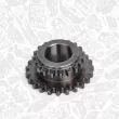 Roue dentée, vilebrequin ET ENGINETEAM [RG0019]