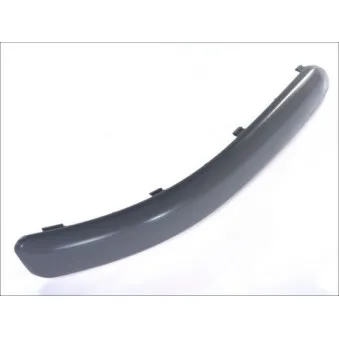 Baguette et bande protectrice, pare-chocs avant droit BLIC OEM 6Q0807718AGRU