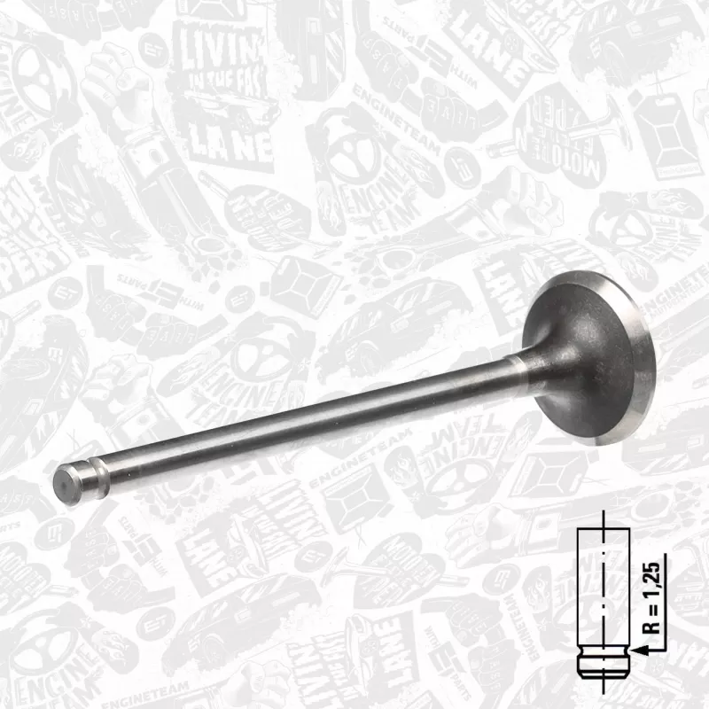 Soupape d'émission ET ENGINETEAM VE0045 - Visuel 1