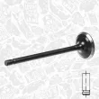 ET ENGINETEAM VI0180 - Soupape d'admission
