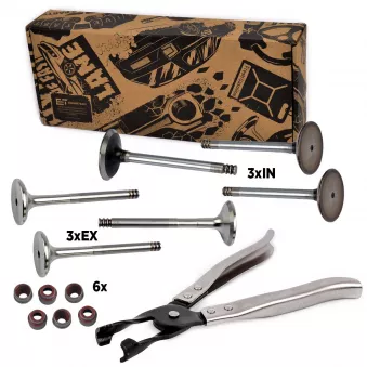 Kit de soupapes, soupapes d'admission/d'échappement ET ENGINETEAM OEM 038109611B