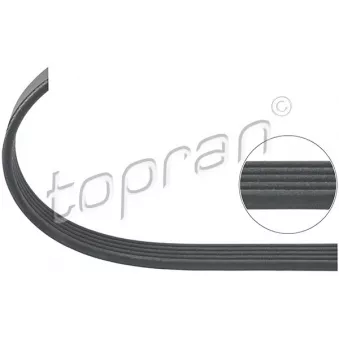 Courroie trapézoïdale à nervures TOPRAN OEM 058903137B