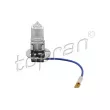 TOPRAN 104 498 - Ampoule, projecteur antibrouillard