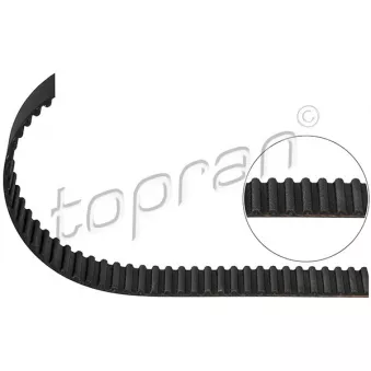 Courroie crantée TOPRAN OEM 038109119