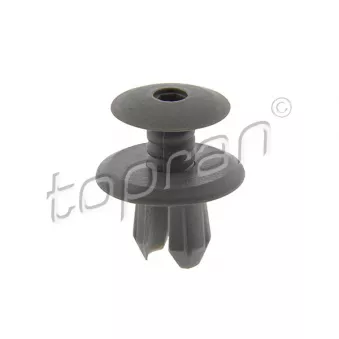 Rivet à expansion TOPRAN OEM 701867299