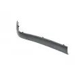BLIC 5513-00-0060927P - Baguette et bande protectrice, pare-chocs avant gauche