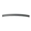 BLIC 5513-00-00659727P - Baguette et bande protectrice, pare-chocs