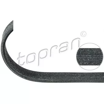 Courroie trapézoïdale à nervures TOPRAN OEM 95510293300