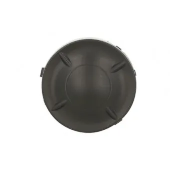 Grille de ventilation, pare-chocs BLIC 5513-00-1619996P