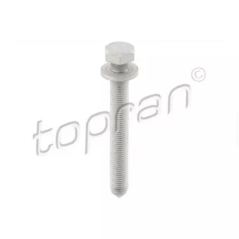 Vis TOPRAN OEM N10294902