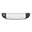 BLIC 5513-00-5537995P - Grille de ventilation, pare-chocs