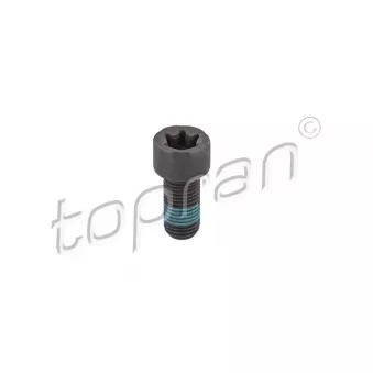 Boulon de volant moteur TOPRAN 208 861