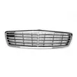 Grille de radiateur BLIC [5601-00-3528991P]