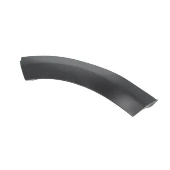 Baguette et bande protectrice, aile arrière gauche BLIC 5703-04-1302595P pour DACIA SANDERO 1.2 16V - 75cv