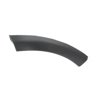 Baguette et bande protectrice, aile arrière droit BLIC 5703-04-1302596P pour DACIA SANDERO 1.2 16V - 75cv