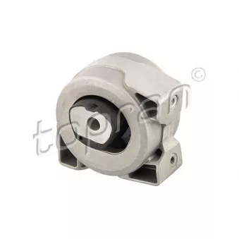 Suspension, boîte automatique arrière gauche TOPRAN OEM A1692401218