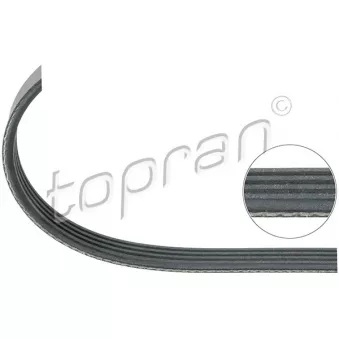 Courroie trapézoïdale à nervures TOPRAN OEM 11282245850