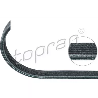 TOPRAN 501 683 - Courroie trapézoïdale à nervures