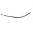 BLIC 5703-05-00659281P - Baguette et bande protectrice, pare-chocs avant droit 