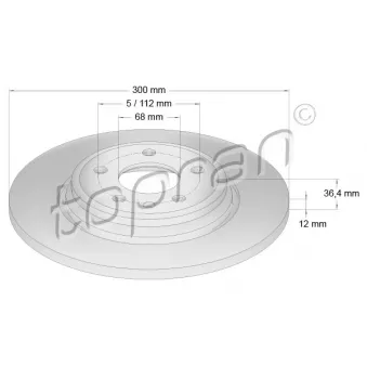 Jeu de 2 disques de frein arrière TOPRAN OEM 8W0615601C