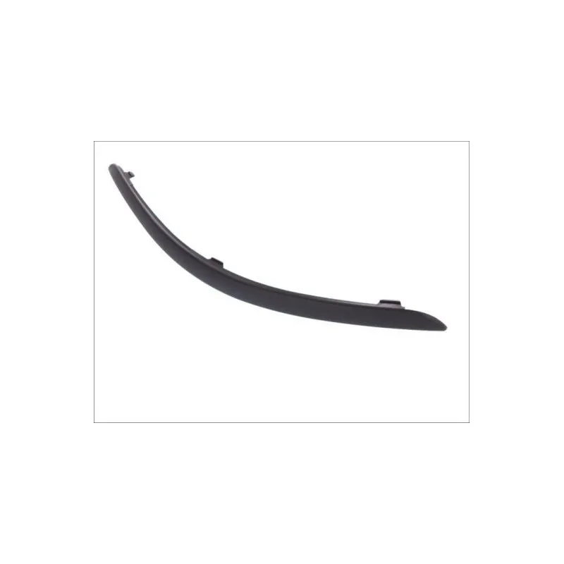 Baguette et bande protectrice, pare-chocs avant gauche BLIC 5703-05-2532921P - Visuel 1