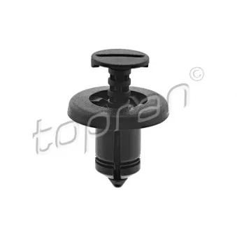 Rivet à expansion TOPRAN OEM 054000001R