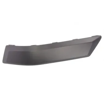 Baguette et bande protectrice, pare-chocs arrière droit BLIC 5703-05-2576976P