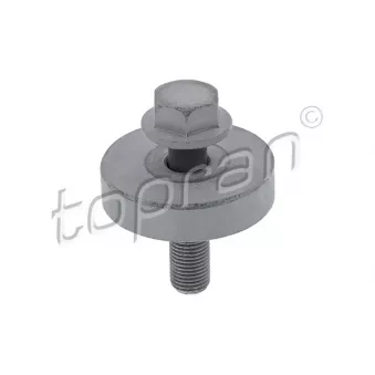 Boulon de poulie TOPRAN [701 616]