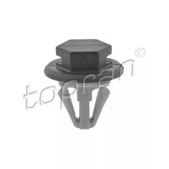 Clip, enjoliveur TOPRAN 702 379