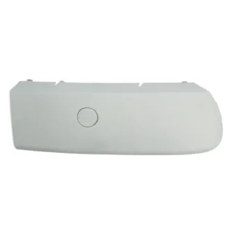 Baguette et bande protectrice, pare-chocs avant droit BLIC 5703-05-3711922P
