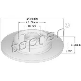Jeu de 2 disques de frein arrière TOPRAN OEM 424966
