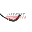 FAST FT00231 - Durite de radiateur