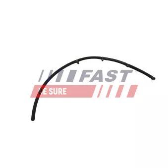FAST FT00250 - Tuyau, carburant de fuite