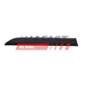 Baguette et bande protectrice, panneau latérale FAST OEM 98087477XT