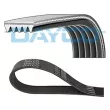 DAYCO 5PK1084H - Courroie trapézoïdale à nervures
