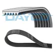 Courroie trapézoïdale à nervures DAYCO [6PK1139H]