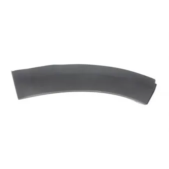 Baguette et bande protectrice, aile avant gauche BLIC 5703-08-1302375P pour DACIA SANDERO 1.2 16V - 75cv