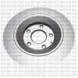 QUINTON HAZELL BDC6119 - Jeu de 2 disques de frein arrière