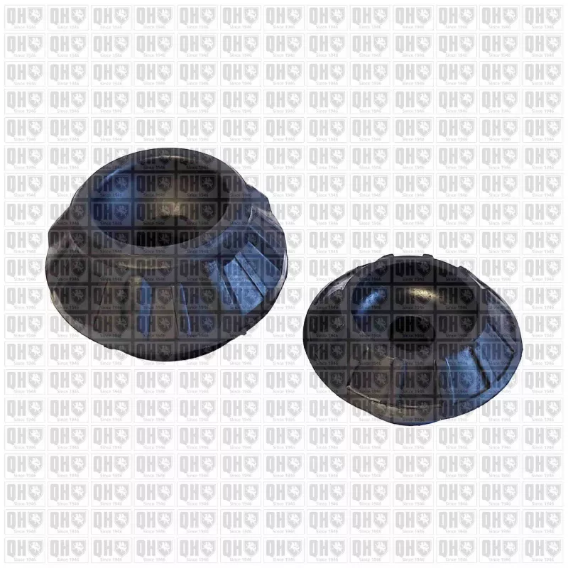 Kit de réparation, coupelle de suspension QUINTON HAZELL EMR6038 - Visuel 1